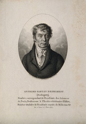 view Anselme-Gaetan Desmarest. Stipple engraving by A. Tardieu, 1826, after himself.