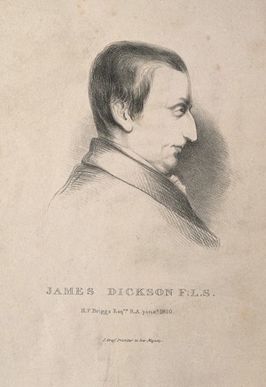 view James Dickson. Lithograph after H. P. Briggs, 1820.