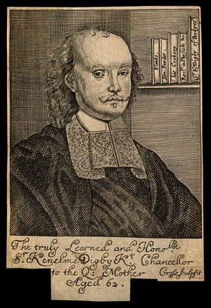 view Sir Kenelm Digby. Line engraving by T. Cross, 1668.