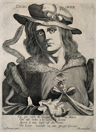 Pedanios Dioscorides. Line engraving.