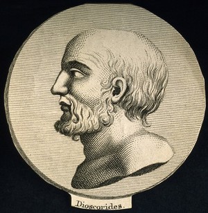 view Pedanios Dioscorides. Line engraving.