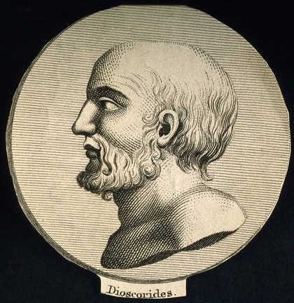 Pedanios Dioscorides. Line engraving.