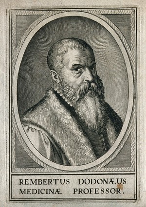 view Rembert Dodoens. Line engraving by S. Furck, 1645.