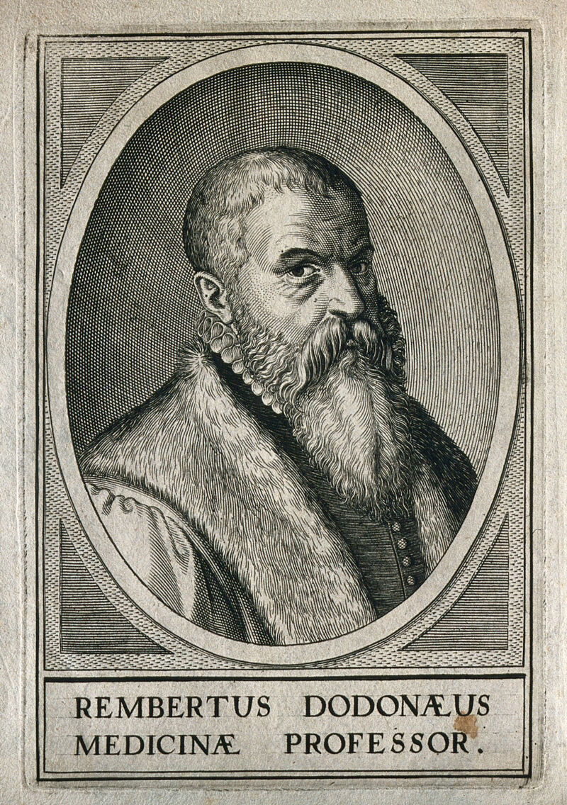 Rembert Dodoens. Line engraving by S. Furck, 1645., 1645, by Sebastian Furck