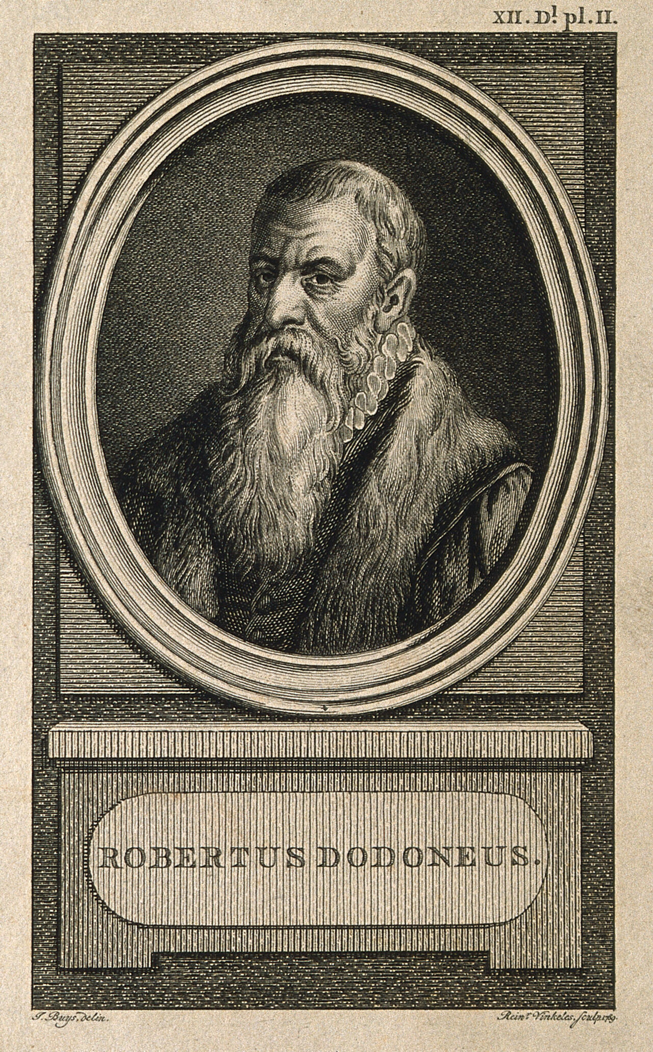 Rembert Dodoens. Line engraving by R. Vinkeles after J. Buys., by Jacobus Buys