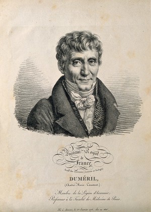 view André-Marie-Constant Duméril. Lithograph by J. Boilly, 1822.