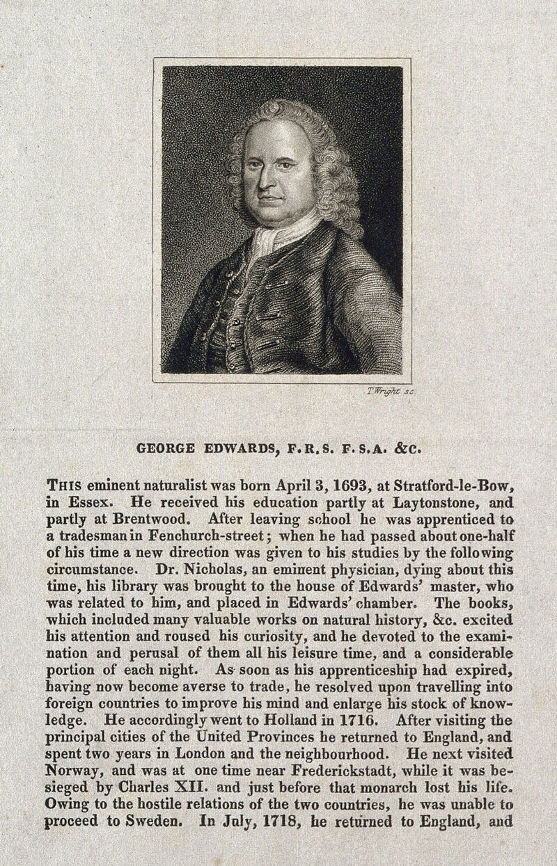 George Edwards. Stipple engraving by T. Wright after B. Dandridge., by Bartholomew Dandridge