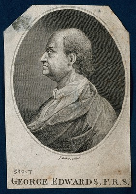 George Edwards. Line engraving by J. Tookey after I. Gosset.