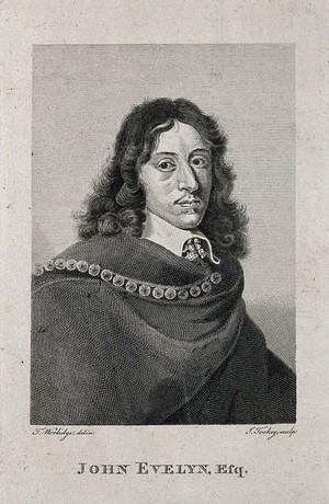 view John Evelyn. Line engraving by J. Tookey after T. Worlidge.