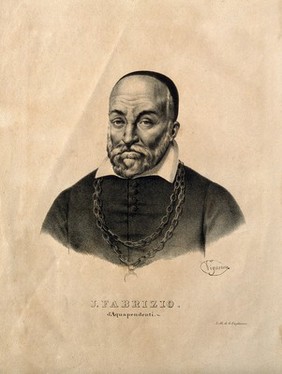 Hieronymus Fabricius of Aquapendente. Lithograph by P. R. Vignéron.