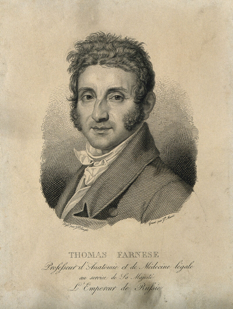 Tommaso Farnese. Line engraving by G. Marri after G. Longhi., by Giuseppe Longhi