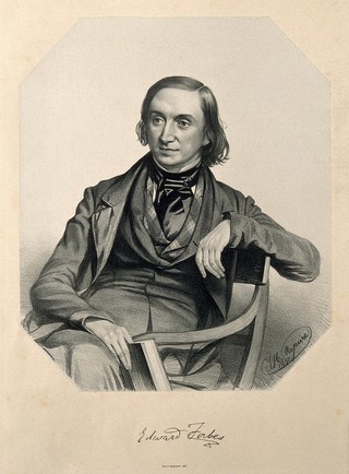 Edward Forbes. Lithograph by T. H. Maguire, 1850.