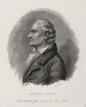 Alberto Fortis. Line engraving by G. Fusinati after Sofia Sellier.