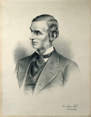 view Wilson Fox. Lithograph.