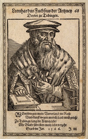 view Leonard Fuchs. Woodcut by T. Stimmer, 1587.