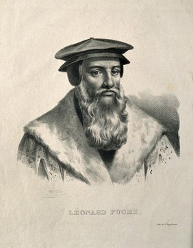 Leonard Fuchs. Lithograph by P. R. Vignéron.
