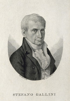 Stefano Gallini. Line engraving by V. C. Padovano after N. Schiavoni.