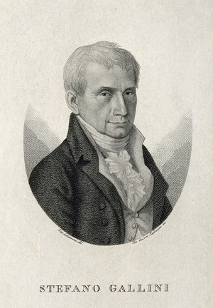 view Stefano Gallini. Line engraving by V. C. Padovano after N. Schiavoni.