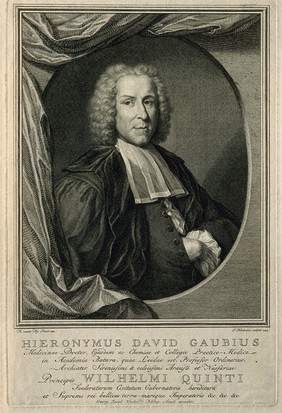 Hieronymus David Gaubius. Line engraving by J. Houbraken, 1744, after H. van der My, 1741.