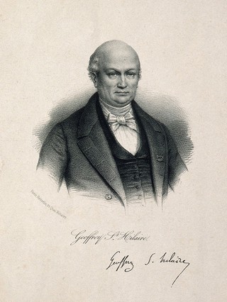 Etienne Geoffroy Saint-Hilaire. Lithograph.