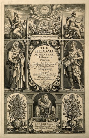 view John Gerard: portrait and botanical motifs. Line engraving by J. Payne, 1633.