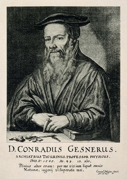 Conrad Gesner. Process print after C. Meyer, 1662.