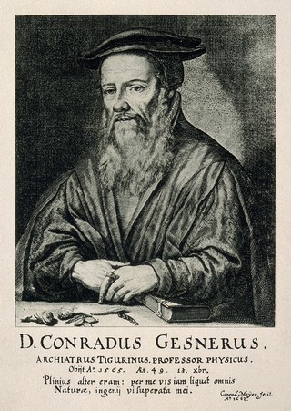 Conrad Gesner. Process print after C. Meyer, 1662.