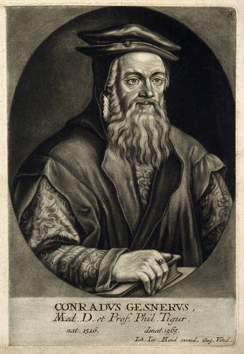 Conrad Gesner. Mezzotint by J. J. Haid, 1747., 1747, by Johann Jakob Haid