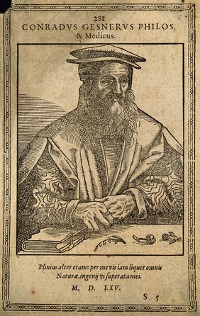 Conrad Gesner. Woodcut, 1565.