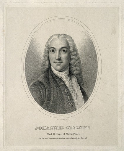 Johannes Gessner. Line engraving by H. Meyer.