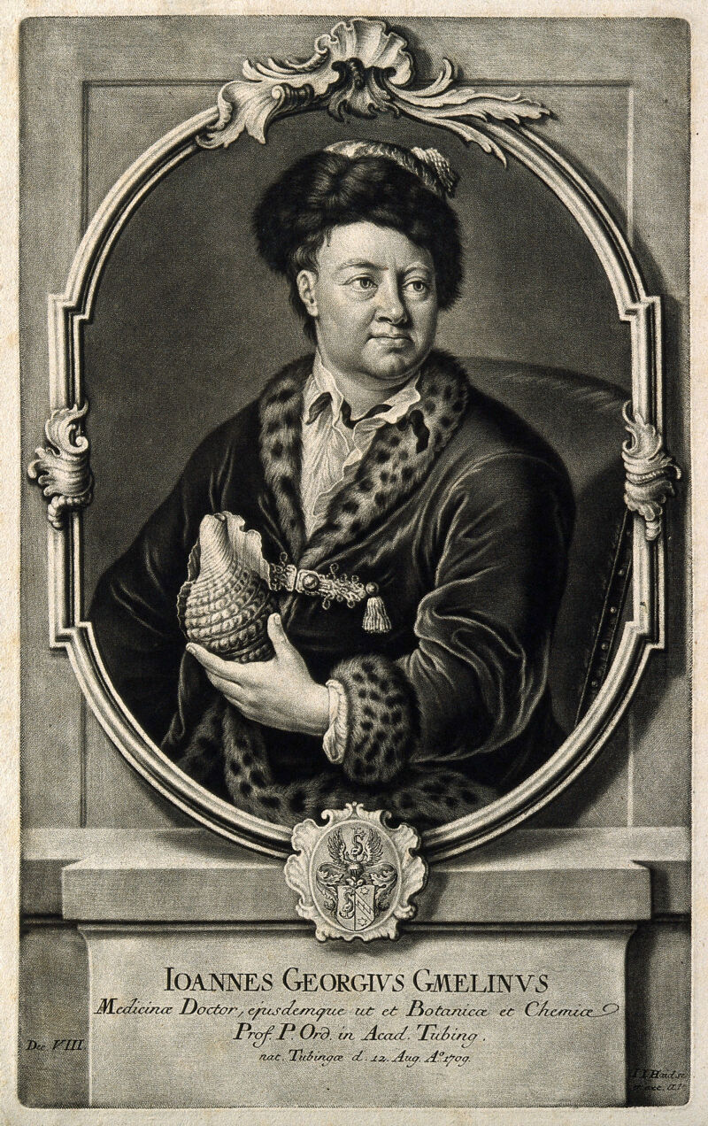 Johann Georg Gmelin. Mezzotint by J. J. Haid., by Johann Jakob Haid