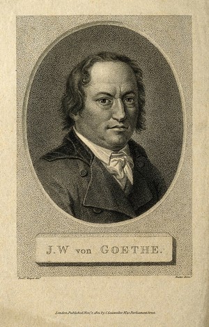 view Johann Wolfgang von Goethe. Stipple engraving by W. Nutter [?], 1801, after Meyer after F. Büri, 1800.