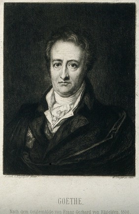 Johann Wolfgang von Goethe. Etching by W. Unger, 1881, after F. G. von Kügelgen, 1808/9.