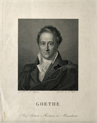 Johann Wolfgang von Goethe. Line engraving by C. Hess after F. G. von Kügelgen, 1810.
