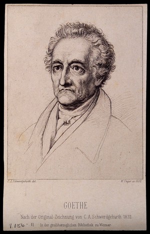 view Johann Wolfgang von Goethe. Etching by W. Unger, 1882, after Carl August Schwerdgeburth, 1831.