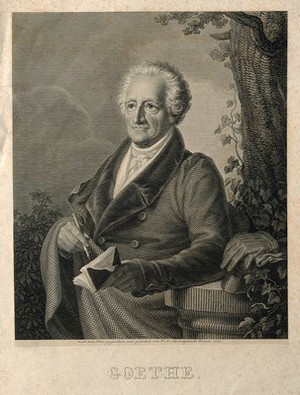 view Johann Wolfgang von Goethe. Line engraving by Carl August Schwerdgeburth, 1832.
