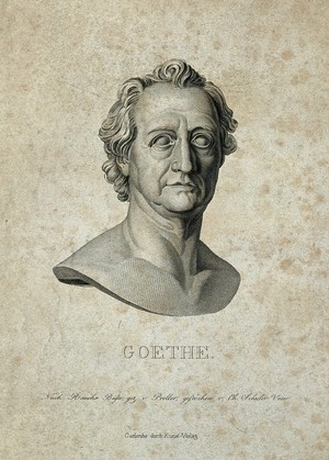 view Johann Wolfgang von Goethe. Line engraving by C. Schuler, senior, after Preller after C. D. Rauch.
