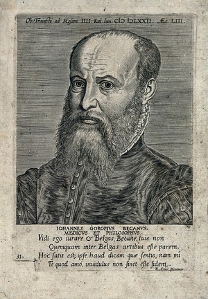 view Jan van Gorp. Line engraving after P. Galle, 1572.