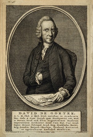 view David de Gorter. Line engraving by J. Houbraken after J. A. Kaldenbach.