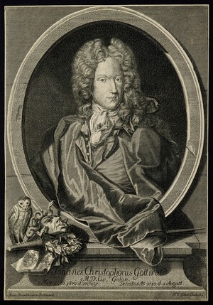 view Johann Christoph Gottwald. Line engraving by F. C. Göbel after A. M. Wernerin.