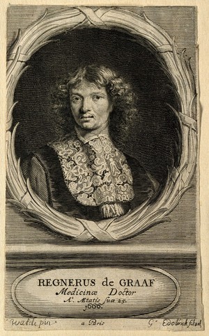 view Reinier de Graaf. Line engraving by G. Edelinck and J. Edelinck, 1666, after H. Watélé.