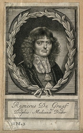 Reinier de Graaf. Line engraving, 1672.