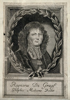 Reinier de Graaf. Line engraving by P. Pinchard.