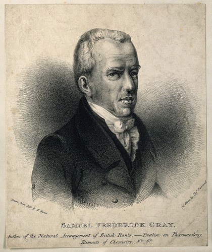 Samuel Frederick Gray. Lithograph by T. Fairland after M. Gauci.