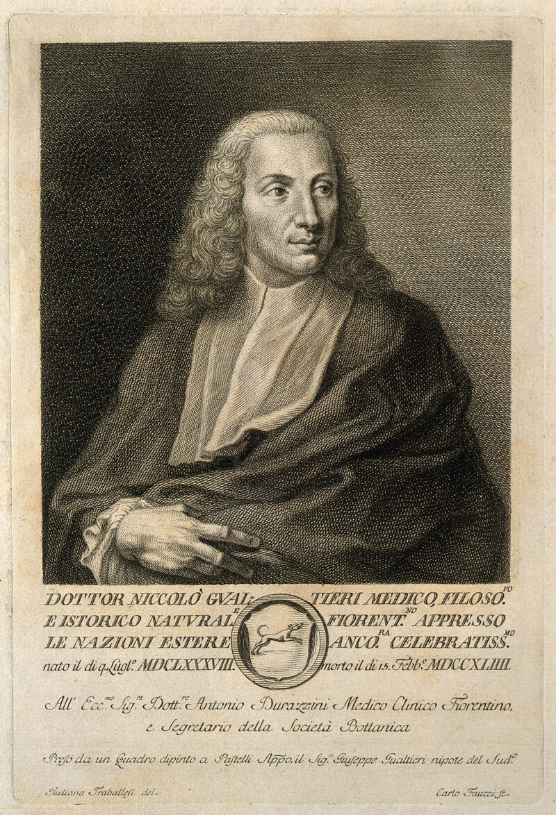 Niccolò Gualteri. Line engraving by C. Faucci after G. Traballesi., by Giulio Traballesi