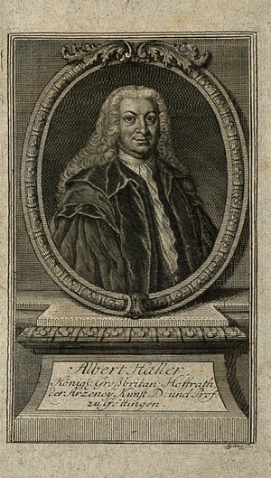 view Baron Albrecht von Haller. Line engraving by J.C. Sysang.