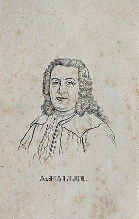 Baron Albrecht von Haller. Line engraving.