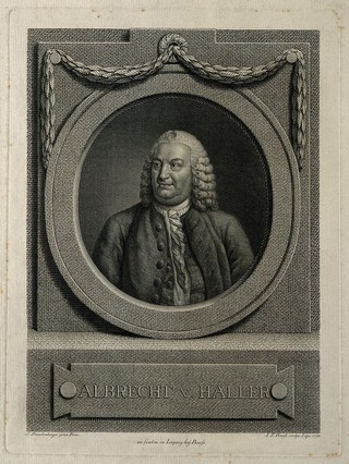 Baron Albrecht von Haller. Line engraving by J. F. Bause, 1773, after S. Freudenberger, 1773.