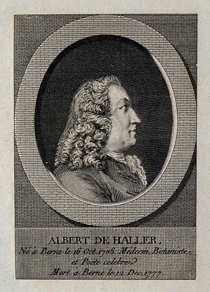view Baron Albrecht von Haller. Line engraving.