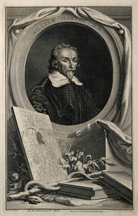 William Harvey. Line engraving by J. Houbraken, 1739, after W. von Bemmel (?), 1657.